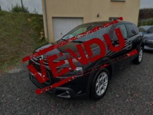 Citroen C4 Cactus Bluehdi 100ch S&s Feel Business E6.d Temp Nlj Automobiles Vente Vehicules Occasion Dans La Manche Et En Normandie